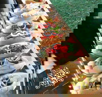 Balter Brewing Company - Accommodation in Bendigo