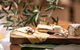 Clovely Estate City Cellar Door - thumb 1