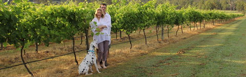 Greenway Wines - Accommodation in Bendigo 1