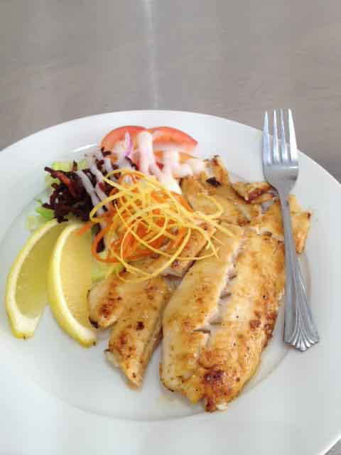 Fishy But Nice - Springfield - Accommodation in Bendigo 0