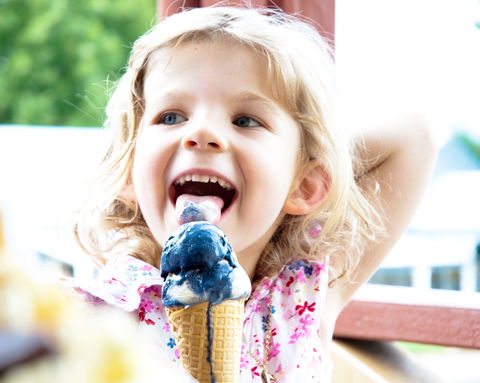 Kangaroo Valley Fudge House And Ice Creamery - Accommodation in Bendigo 2
