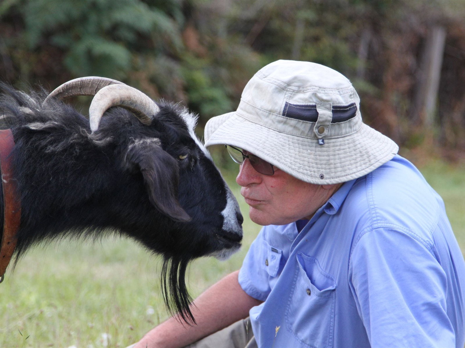  Accommodation in Bendigo