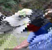 Providence Vineyards - Accommodation in Bendigo