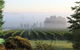 Cherry Tree Hill Wines - thumb 2