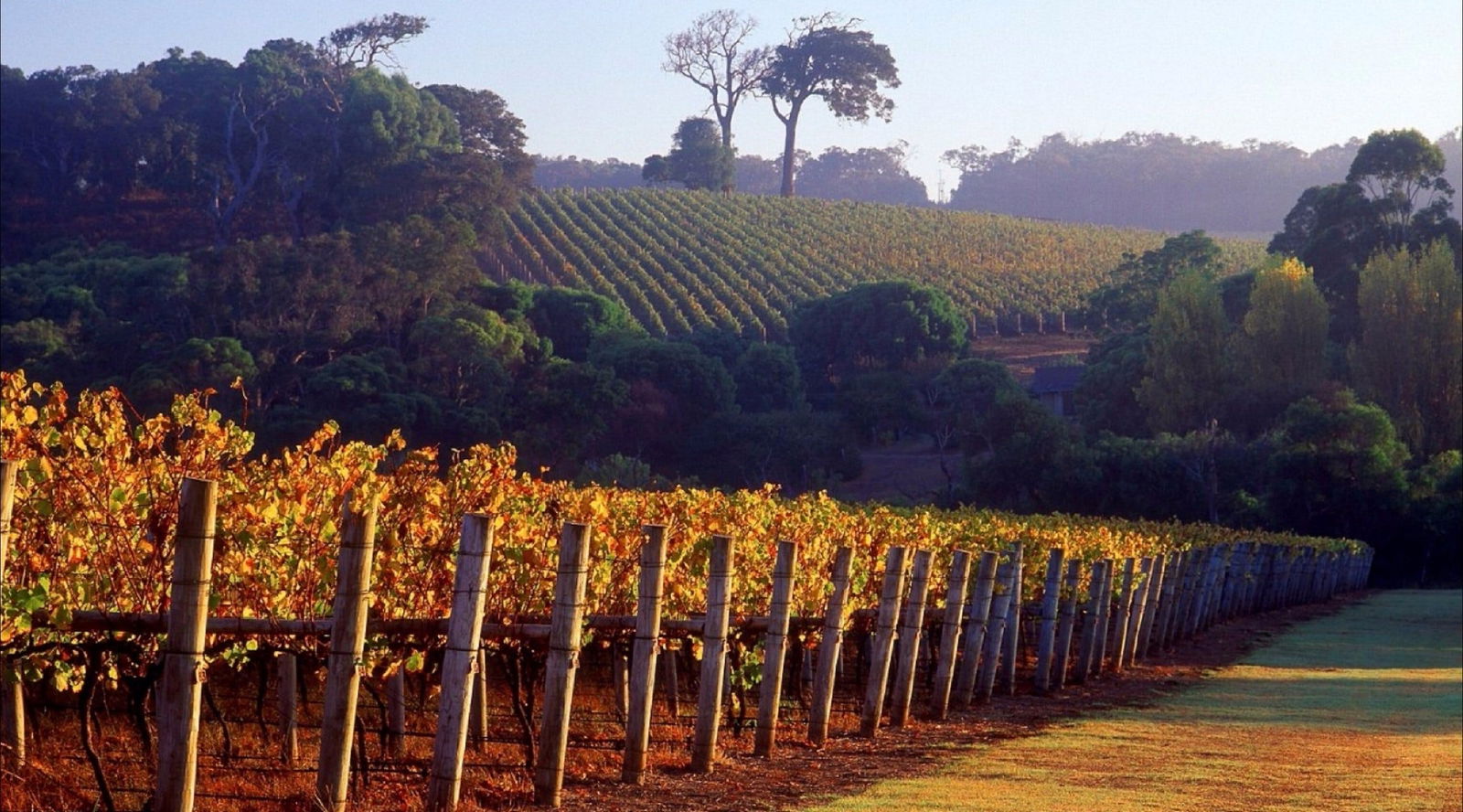 Yelverton WA Accommodation in Bendigo