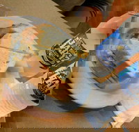 Museum Coffee Shop - Accommodation in Bendigo