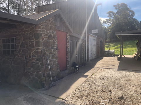 Wilmot Hills Orchard & Distillery - Accommodation in Bendigo 1