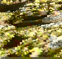 O' La La Sweets - Accommodation in Bendigo