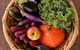 Farm Club: Farm Shop And Canteen - thumb 2