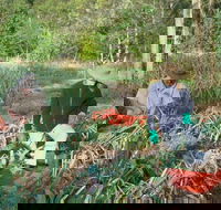 Sweet Water Farm - Accommodation in Bendigo