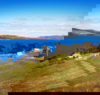 Anim Wine - Accommodation in Bendigo