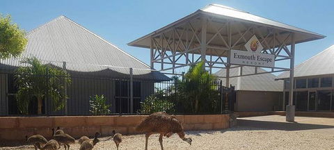 Papou's Kitchen Cafe - Accommodation in Bendigo 0