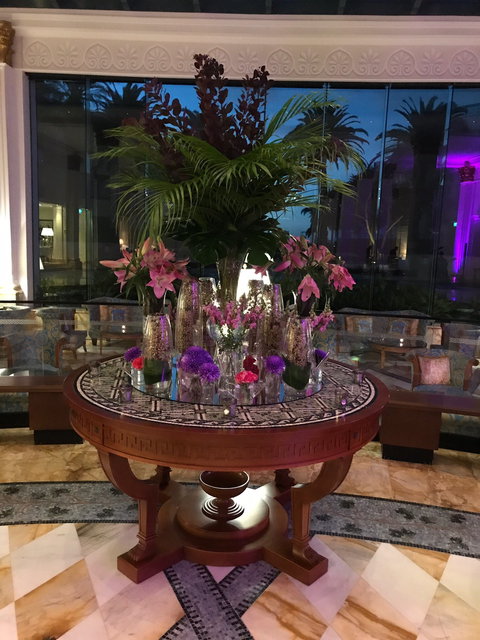 Vanitas - Accommodation in Bendigo 13