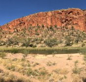 Swiss Chalet - Accommodation in Bendigo