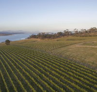 Bangor Vineyard Shed - Accommodation in Bendigo