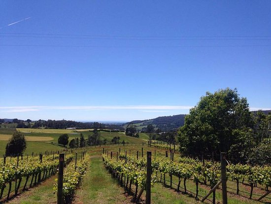 Barrington TAS Accommodation in Bendigo