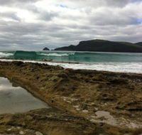 Bruny Island Berry Farm - Accommodation in Bendigo