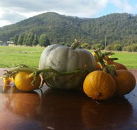 Mount Gnomon Farm - Accommodation in Bendigo