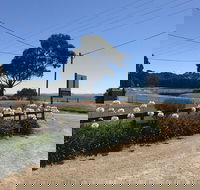 Penguin  Pardalote Coffee House - Accommodation in Bendigo