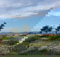 Coffee Cat - Accommodation in Bendigo