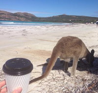 Lucky Bean - Accommodation in Bendigo