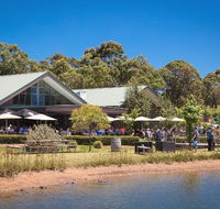 Cheeky Monkey Brewery and Cidery - Accommodation in Bendigo