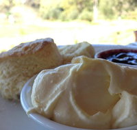 Tanglefoot Winery Cafe - Accommodation in Bendigo