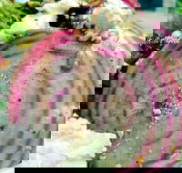 Thunderbird Kitchen - Accommodation in Bendigo