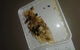 Waterways Seafoods - thumb 0