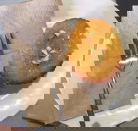 New Leaf Cafe Murwillumbah - Accommodation in Bendigo