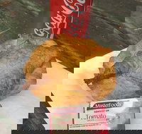 Uki Pies - Accommodation in Bendigo