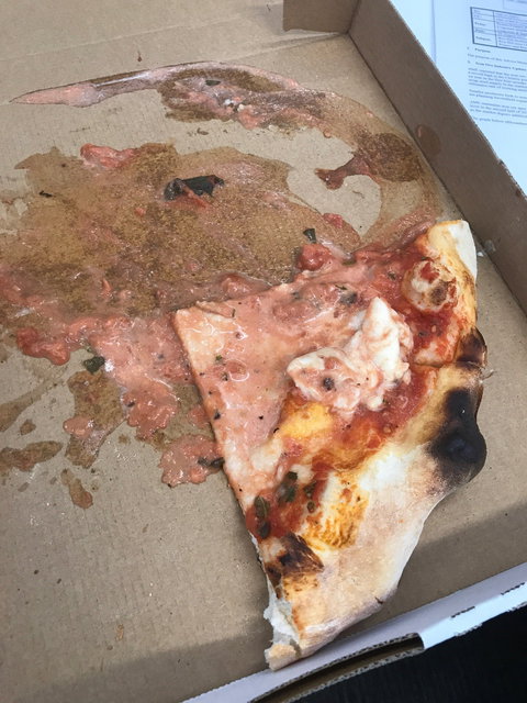 SCUGNIZZO - Accommodation in Bendigo 3