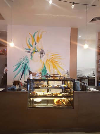 Warralily Cockatoo - Accommodation in Bendigo 0