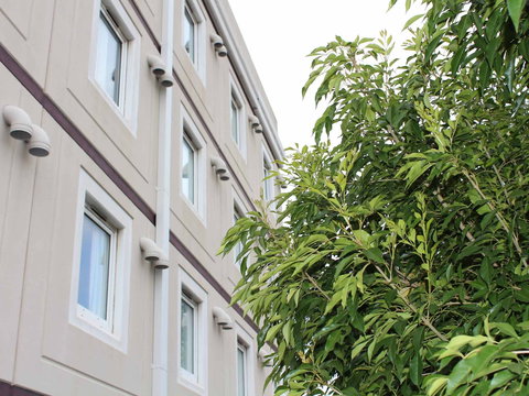 Ibis Newcastle - Accommodation in Bendigo 1