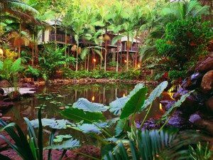 Daintree Eco Lodge & Spa - Accommodation in Bendigo 0