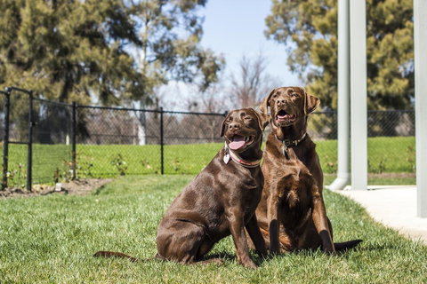 Abode Narrabundah - Accommodation in Bendigo 21