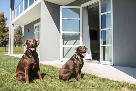 Abode Narrabundah - Accommodation in Bendigo 20