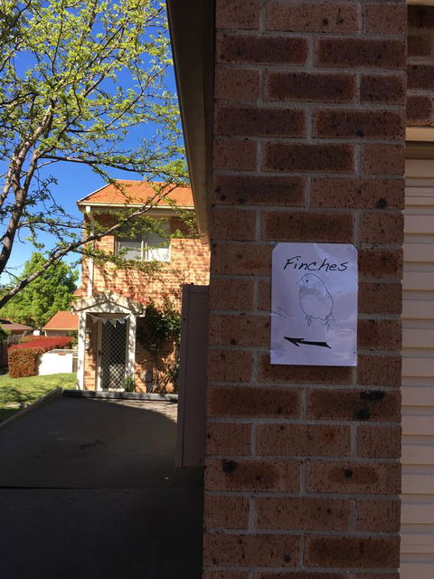 Finches Canberra - Accommodation in Bendigo 6