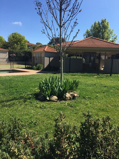 Finches Canberra - Accommodation in Bendigo 29