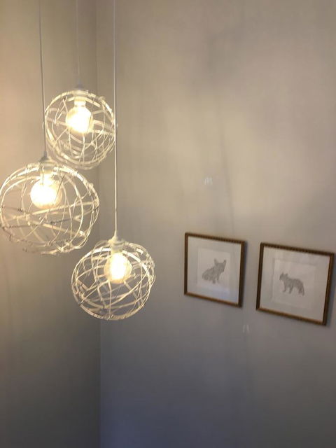 Finches Canberra - Accommodation in Bendigo 16