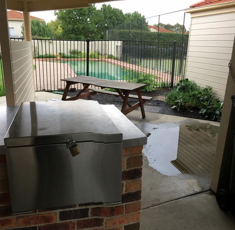 Finches Canberra - Accommodation in Bendigo 40