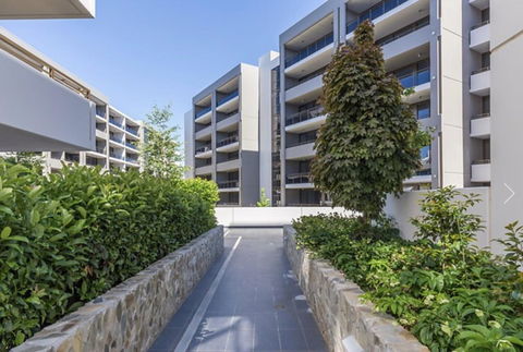 Modern Executive Apt@Barton*1BR*WiFi*Gym*Secure Parking*Canberra - Accommodation in Bendigo 19