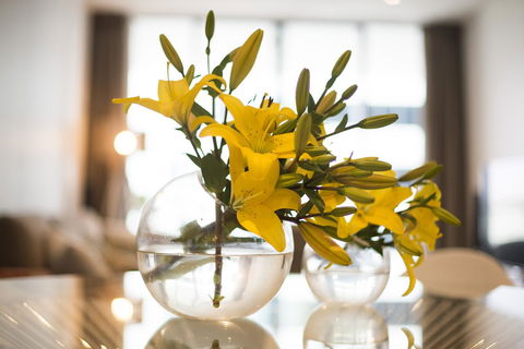 KUI - Manhattan Apartments - Accommodation in Bendigo 0