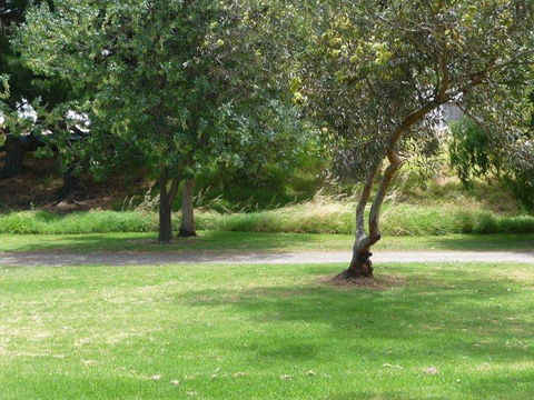 Victor Harbor Holiday Park - Accommodation in Bendigo 24