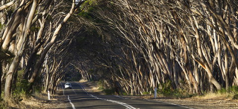 Mercure Kangaroo Island Lodge - Accommodation in Bendigo 40