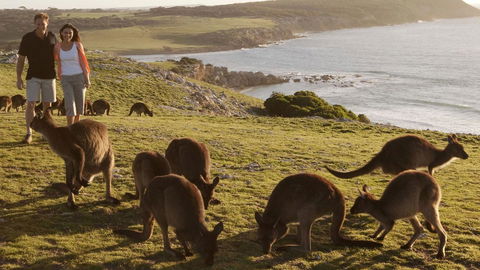 Kangaroo Island Seafront - Accommodation in Bendigo 13