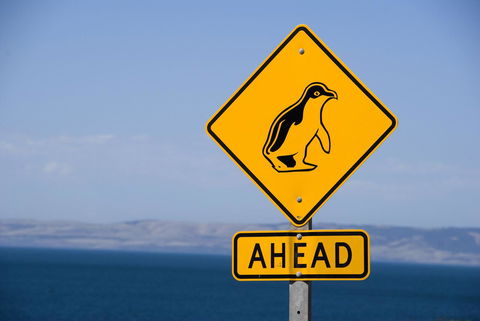 Kangaroo Island Seafront - Accommodation in Bendigo 43