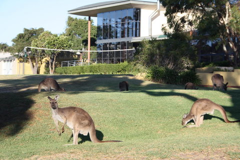 BreakFree Wirrina Cove - Accommodation in Bendigo 28
