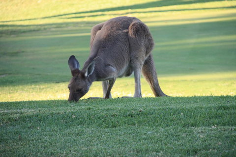 BreakFree Wirrina Cove - Accommodation in Bendigo 24