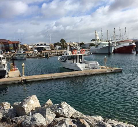 Port Lincoln Shark Apartment 1 - Accommodation in Bendigo 14